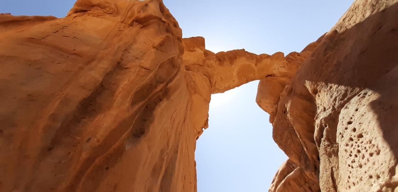 Bedouin Holidays Camp And Jeep Tours Wadi Rum Exteriör bild