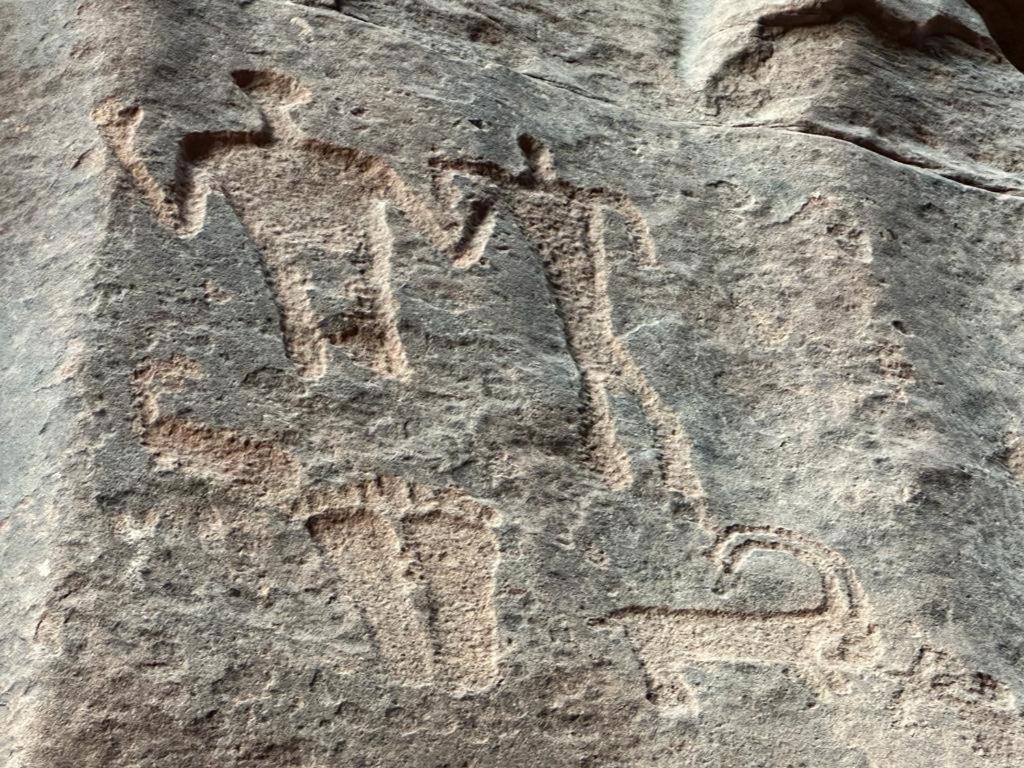 Bedouin Holidays Camp And Jeep Tours Wadi Rum Exteriör bild