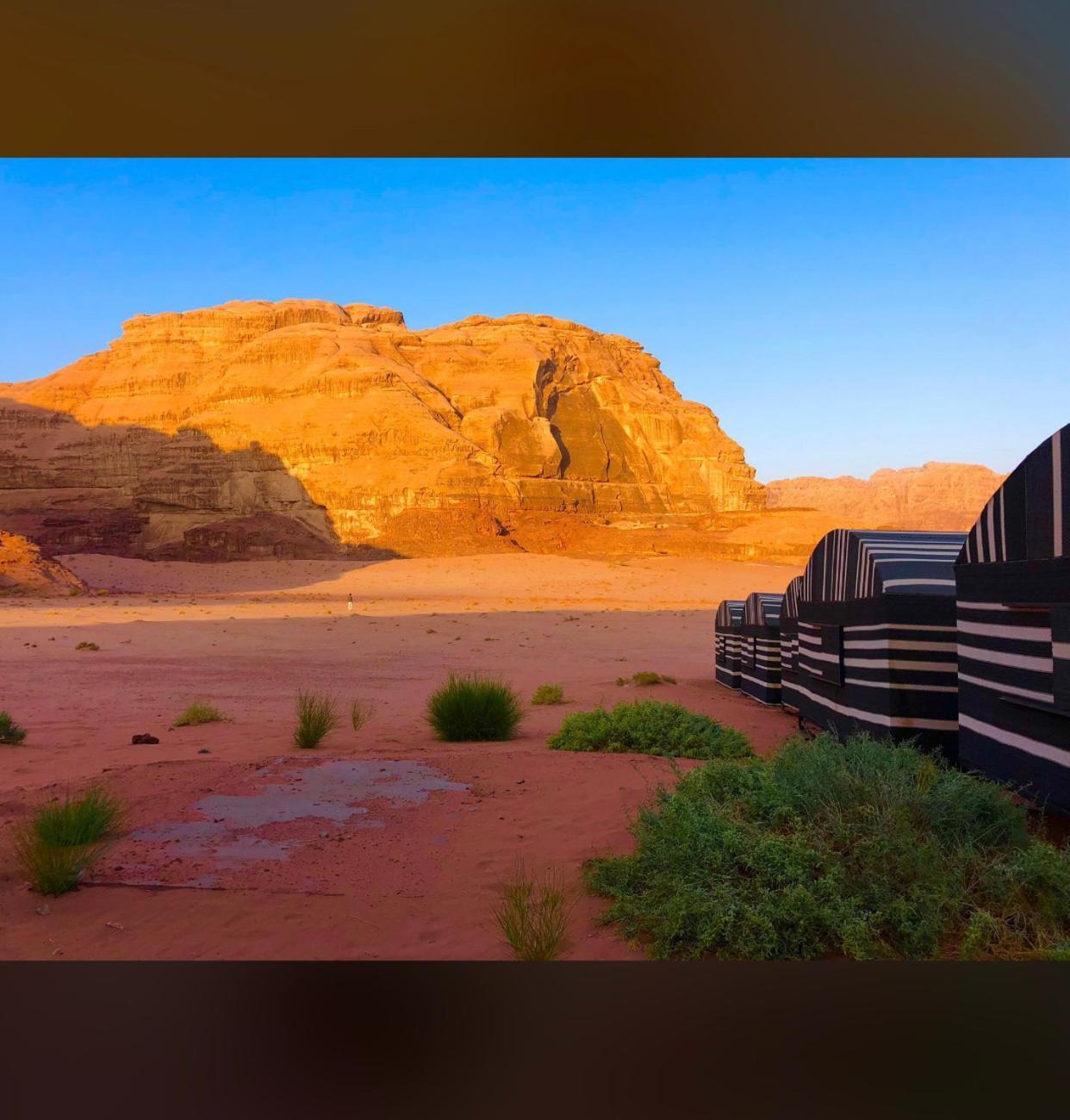 Bedouin Holidays Camp And Jeep Tours Wadi Rum Exteriör bild