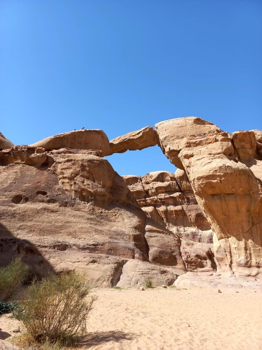 Bedouin Holidays Camp And Jeep Tours Wadi Rum Exteriör bild